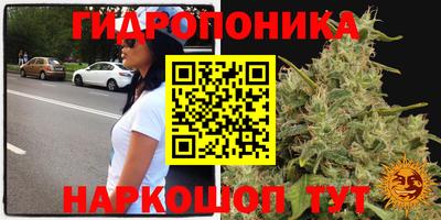 мдпв Ливны